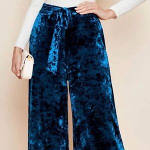 Blue Velvet Dress Pants